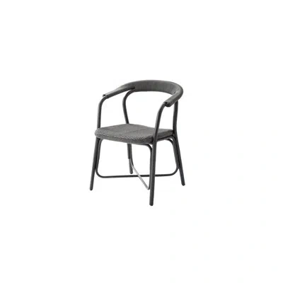 Cane-line Noble Arm Chair In Black