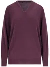 Canessa V-neck Sweater In Purple Cashmere Purple In Red