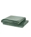 Cannon Solid Plush Blanket, Twin/twin Xl In Green