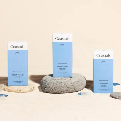 Canopy : Coastals Aroma Kit In For Sound Machine (with Felt Diffusers)
