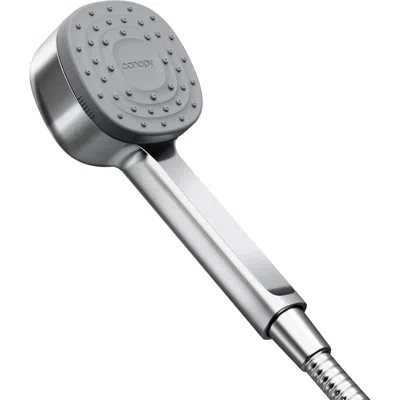 Canopy Filtered Handheld Showerhead In Silver