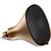 Canopy Filtered Showerhead In Gold