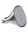 Canopy Filtered Showerhead In Metallic