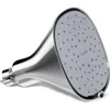 Canopy Filtered Showerhead In Silver