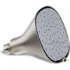 Canopy Filtered Showerhead In Silver