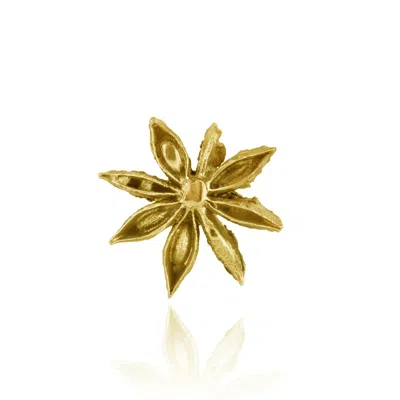 Cansui Design Women's Gold Small Anise Earrings