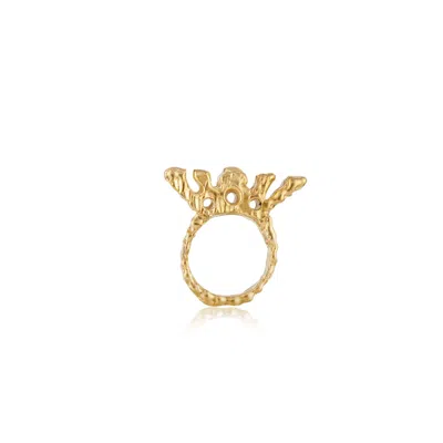 Cansui Design Women's Gold Sun Ring