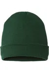 Cap America Usa-made 12 Cuffed Beanie In Green