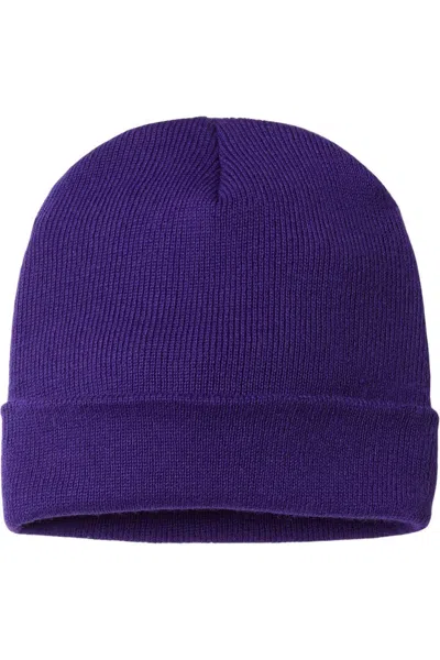 Cap America Usa-made 12 Cuffed Beanie In Purple