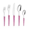 Capdeco Quio 5 Piece Place Setting In Pink