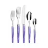 Capdeco Quio 5 Piece Place Setting In Purple