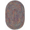 Capel Inc. Sea Pottery Concentric Braided Oval Rugs In Multi