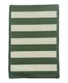Capel Timeless Indoor/outdoor 0160x Cross Sewn Area Rug 5'0x8'0 In Green