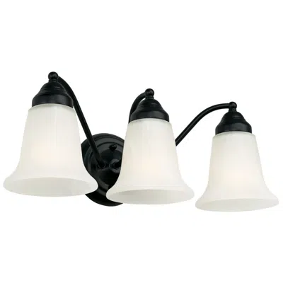Capital Lighting Brady 3 Light Vanity 19" Matte Black