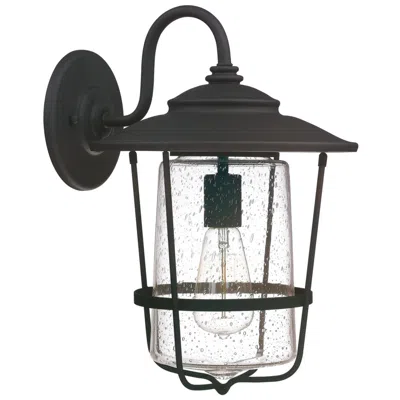Capital Lighting Capital Creekside 16 1/4" High Black Outdoor Wall Light