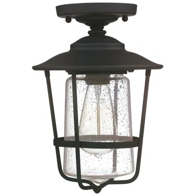 Capital Lighting Creekside 8 1/4"w Black Clear Glass Outdoor Ceiling Light