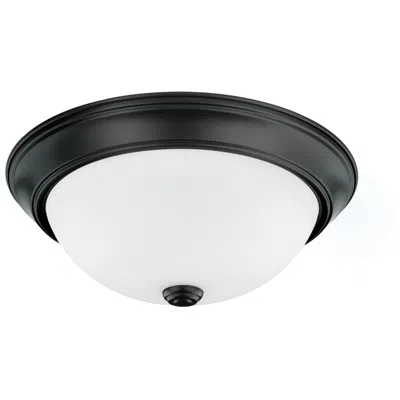 Capital Lighting Homeplace Lighting Bates 2 Light Flush Mount Matte Black