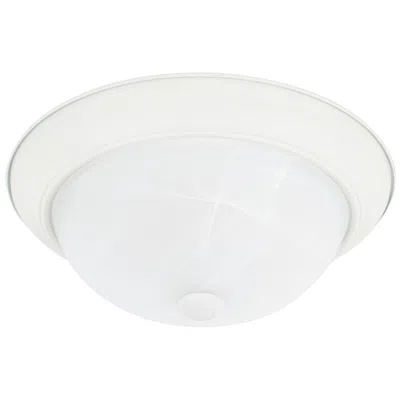 Capital Lighting Homeplace Lighting Bates 2 Light Flush Mount Warm White