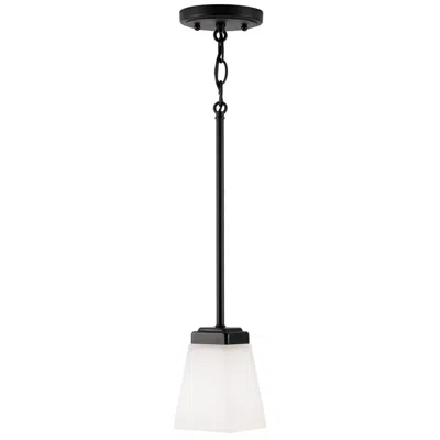 Capital Lighting Homeplace Lighting Baxley 1 Light Pendant 5" Matte Black