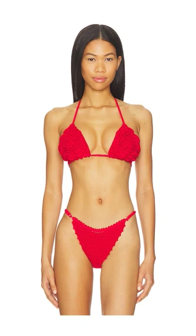 Capittana Rose Bikini Top In Red