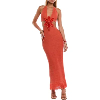 Capittana Starla Halter Open Back Fringe Hem Cotton Blend Cover-up Dress In Orange