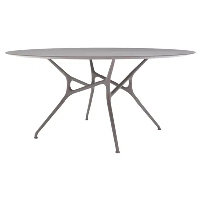 Pre-owned Cappellini Branch Large Round Table By Jakob Wagner By For  In Gray