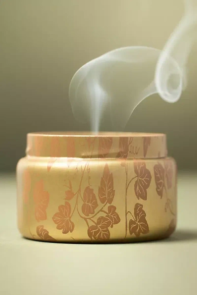 Capri Blue Pumpkin Clove Tin Candle