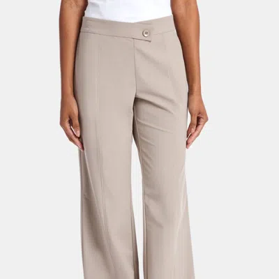 Capsule 121 The Apache Pant In Parker Tech In Neutral