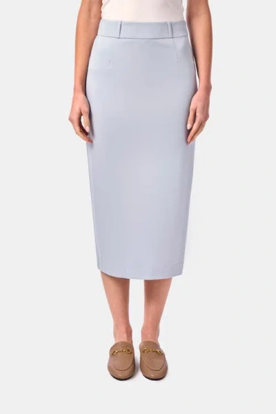 Capsule 121 The Cluster Skirt In Baby Blue
