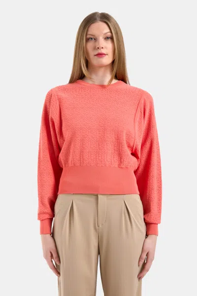 CAPSULE 121 THE TRITON SWEATER