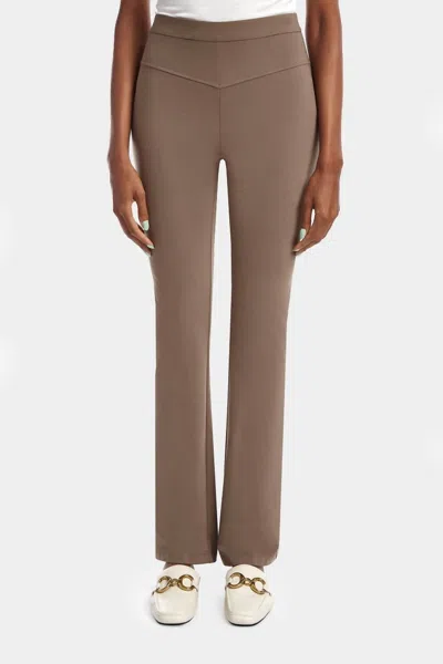 Capsule 121 Women's Larsen Pant In Taupe In Brown