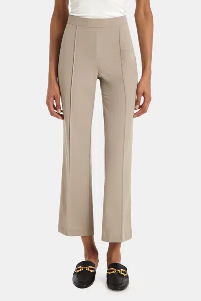 Capsule 121 The Oriole Pant In Parker Tech In Multi
