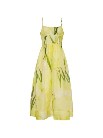 Cara Cara Alba Gathered Floral-print Linen And Silk-blend Organza Midi Dress In Multi