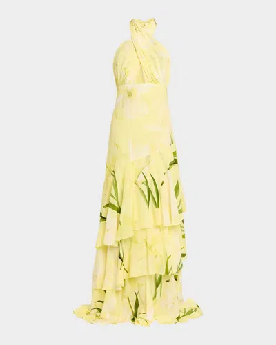 Cara Cara Amethyst Printed Tiered Silk Gown In Yellow