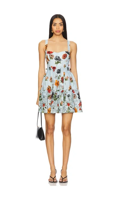 Cara Cara Audrey Dress In Baby Blue