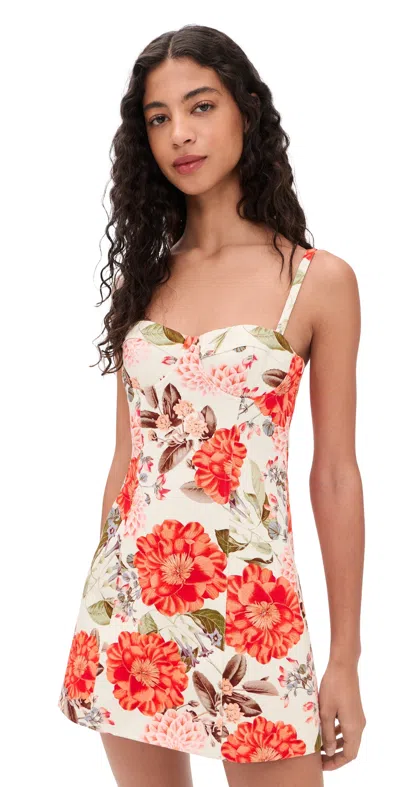 Cara Cara Claudine Mini Dress Blossoms Egret