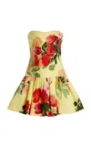 Cara Cara Elena Cotton Dress In Floral