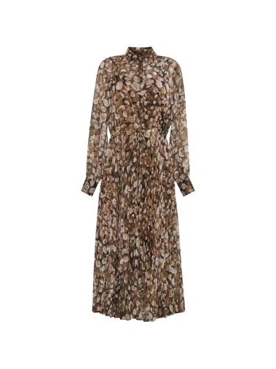 Cara Cara Finch Pleated Midi Dress In Brown