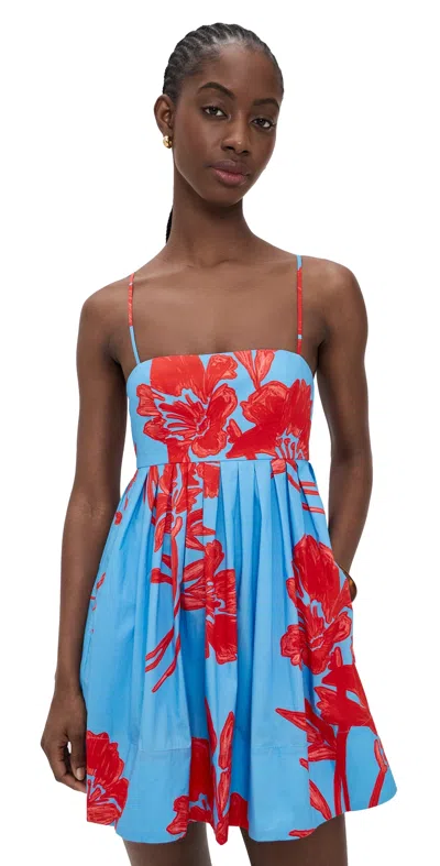 Cara Cara Leo Mini Dress Flora Shadow Sky In Blue