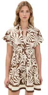 Cara Cara Nash Leaf-print Pleated Mini Dress In Brown