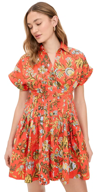 Cara Cara Nash Mini Dress Clover Orange