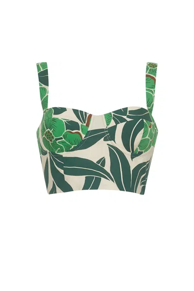 Cara Cara New York Claudine Top In Palm Beach Green