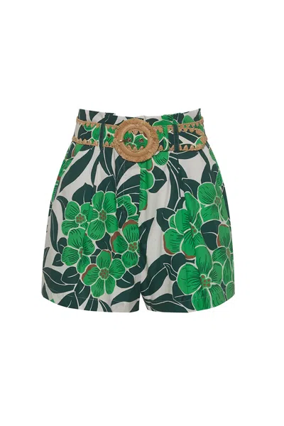 Cara Cara New York Palmer Shorts In Palm Beach Green