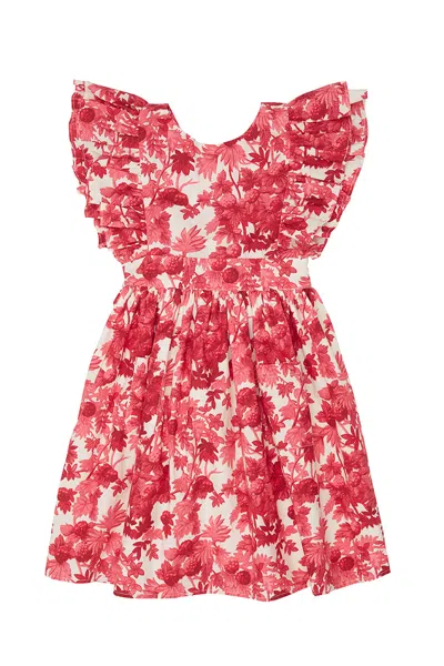 Cara Cara New York Sage Dress In Berries Pink