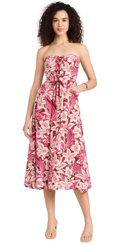 Cara Cara Nicola Midi Dress Tropical Harvest Pink