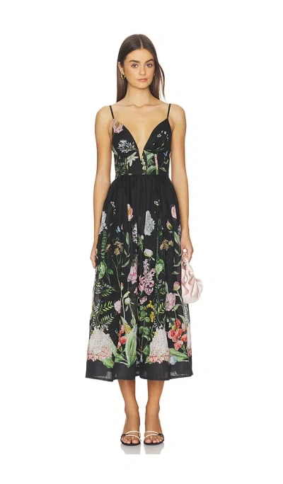 Cara Cara Pero Midi Dress In Black