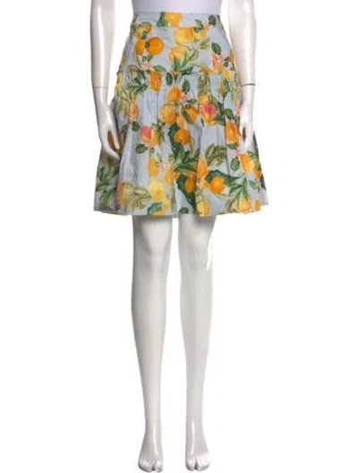 Pre-owned Cara Cara Printed Knee-length Skirt W/ Tags In Blue