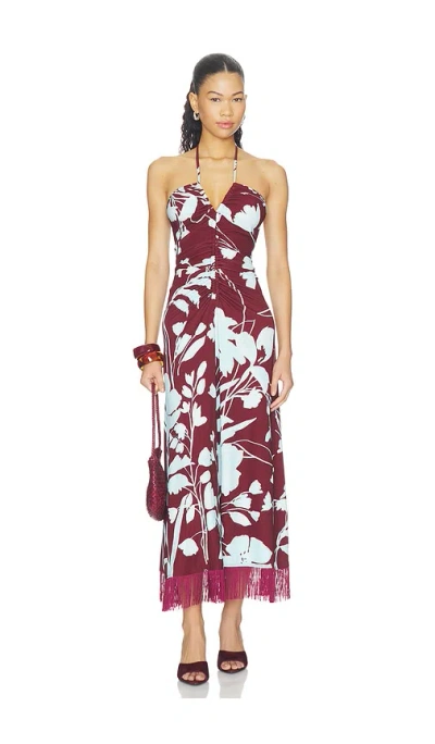 Cara Cara Shelter Island Maxi Dress In Burgundy
