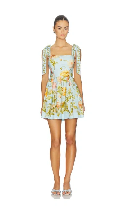 Cara Cara Tula Mini Dress In Blue