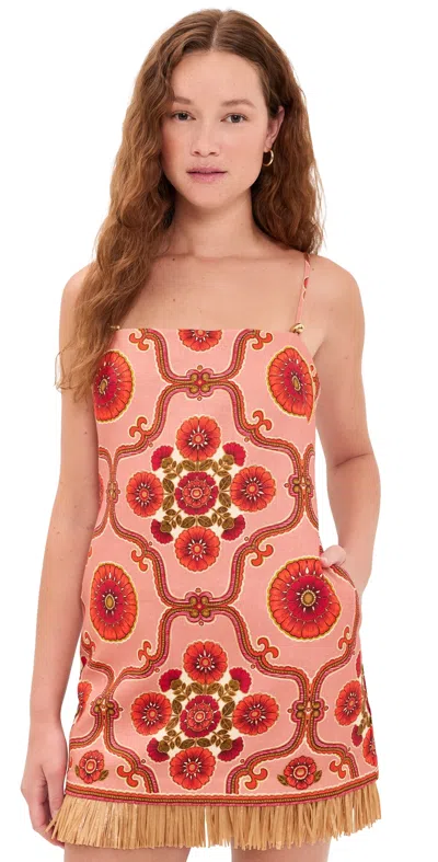 Cara Cara Valencia Printed Fringed Linen Mini Dress In Multi